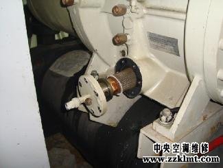 中央91成人抖音下载黄色抖音视频更换油过滤芯